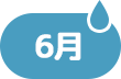 6月