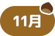 11月